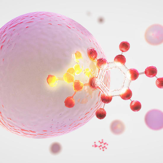 EAD vs. ETD: Choosing the right fragmentation technique for small molecule Met ID studies